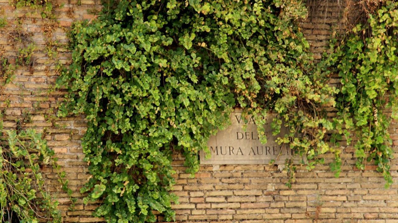 Vista San Pietro Leilighet Roma Eksteriør bilde